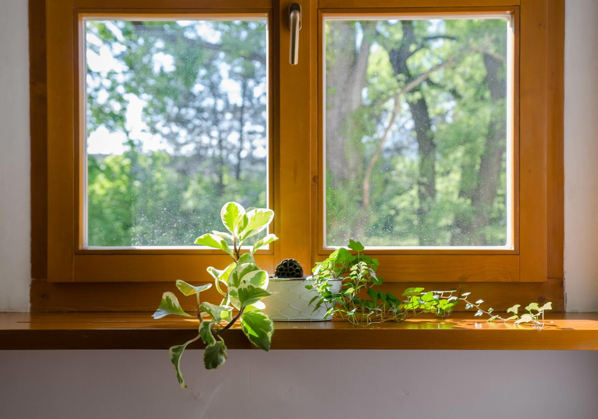 Le garantizamos el mejor acabado en su ventana de madera